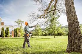 Best Lot and Land Clearing  in Inwood, WV