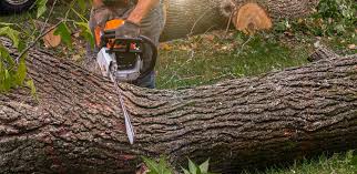Best Landscape Design and Installation  in Inwood, WV