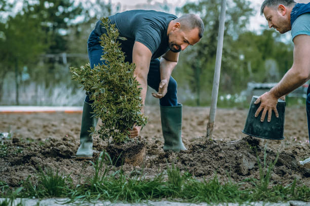 Best Weed Control  in Inwood, WV