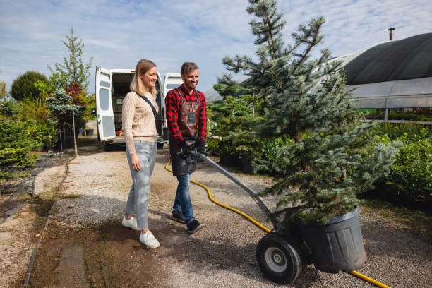 Best Tree Maintenance Programs  in Inwood, WV